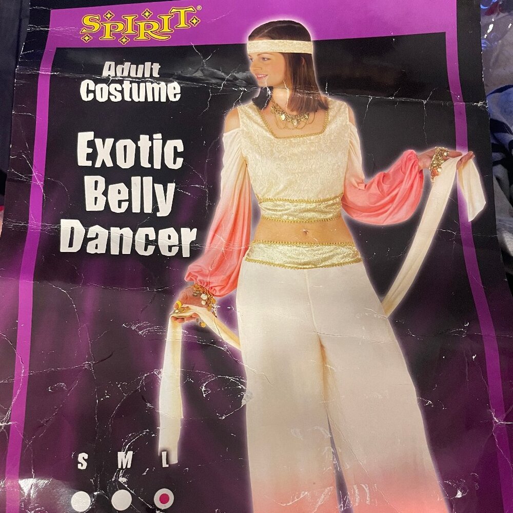Exotic Belly Dancer Costume